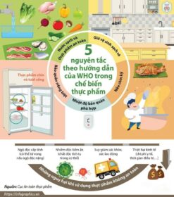 BÀI TUYÊN TRUYỀN VỆ SINH AN TOÀN THỰC PHẨM, PHÒNG TRÁNH NGỘ ĐỘC THỰC PHẨM